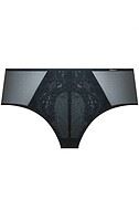Beautiful briefs, sheer mesh, floral lace